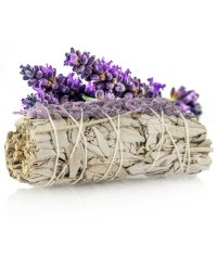 Biała szałwia Kalifornijska Salvia Apiana i Lawenda