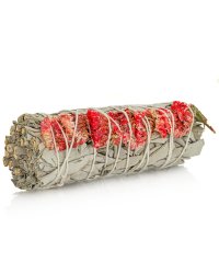 Biała szałwia Kalifornijska Salvia Apiana i Sinuata - czerwona