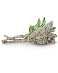 Biała szałwia Kalifornijska Salvia Apiana wysoka jakość pęczek 25g