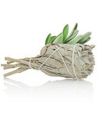 Biała szałwia Kalifornijska Salvia Apiana wysoka jakość pęczek 25g