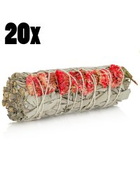 Biała szałwia Kalifornijska Salvia Apiana i Sinuata - czerwona 20szt