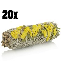 Biała szałwia Kalifornijska Salvia Apiana i Sinuata - żółta 20szt